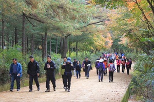 문경산악체전,경상북도 문경시,지역축제,축제정보