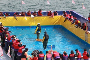 영덕대게축제,경상북도 영덕군,지역축제,축제정보