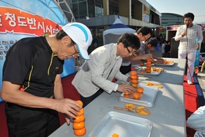 청도반시축제,경상북도 청도군,지역축제,축제정보