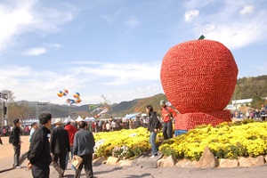 청송도깨비사과축제,경상북도 청송군,지역축제,축제정보