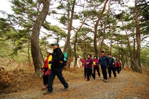 외씨버선길 걷기행사,국내여행,음식정보