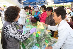 기북산나물축제,경상북도 포항시,지역축제,축제정보