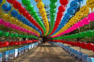 마곡사신록축제,충청남도 공주시,지역축제,축제정보