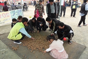 천안호두축제,국내여행,음식정보