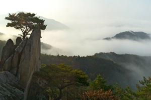 금수산감골단풍축제,국내여행,음식정보