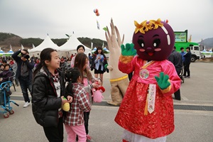 옥천묘목축제,충청북도 옥천군,지역축제,축제정보