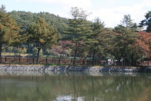 의림지 동계민속대제전,충청북도 제천시,지역축제,축제정보