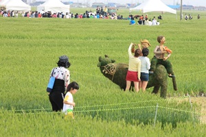 지평선 황금보리 추억의 보리밭축제 ,전라북도 김제시,지역축제,축제정보