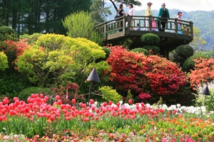 아침고요수목원 봄나들이 봄꽃축제,국내여행,음식정보