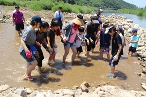 양평 메기수염축제,경기도 양평군,지역축제,축제정보