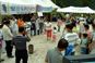 김삿갓 포도축제,지역축제,축제정보