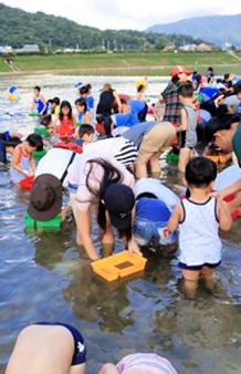 추억찾아, 다슬기축제