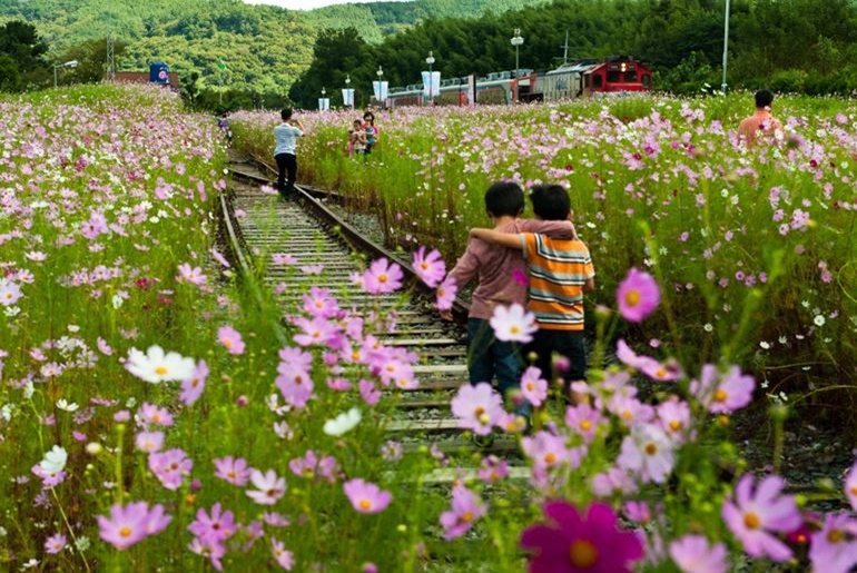 확대이미지