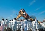 청남대 국화축제,지역축제,축제정보