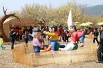 구례산수유꽃축제,지역축제,축제정보