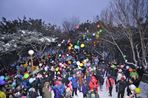 용왕산해맞이축제,지역축제,축제정보