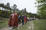 화순운주문화축제,지역축제,축제정보