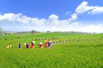 회당문화축제,지역축제,축제정보