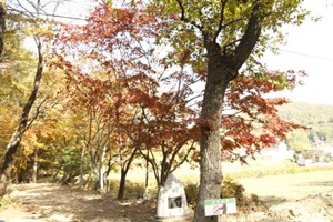 힐링 공간이 가득한 군포시의 당일코스2,경기도 군포시