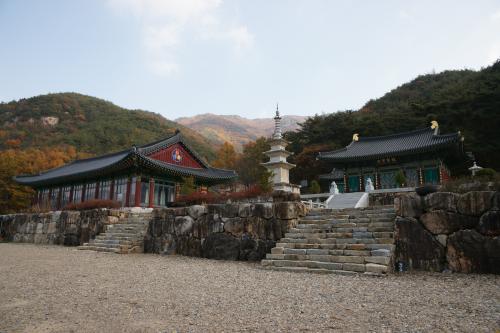 곶감 말고 또 다른 명물이 숨어있는 상주, 당일코스1,경상북도 상주시