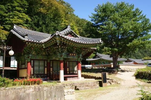 사찰 여행 전남 화순군, 당일코스2,전라남도 화순군