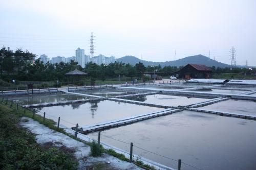 도심속에서 느끼는 천연관광, 남동구 당일코스1,인천광역시 남동구