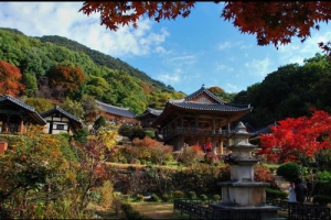 영주시티투어 1코스-선비여행 ,여행코스,여행추천코스,국내여행