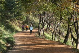 계족산 황톳길,국내여행,여행지추천