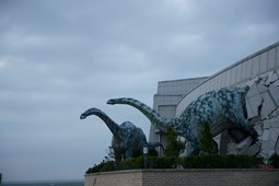 우항리공룡화석지,국내여행,여행지추천
