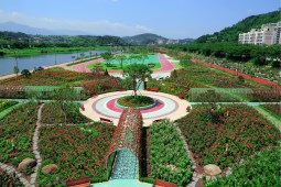 장미공원 ,국내여행,여행지추천