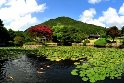 운림산방,국내여행,여행지추천