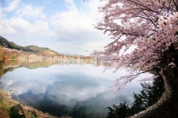 내수면환경생태공원,국내여행,여행지추천