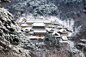 사찰의_향기