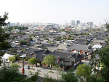 세계를 비빈 곳, 전주