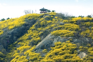 서울을 에워싼 신비의 성, 성동구,국내여행,음식정보