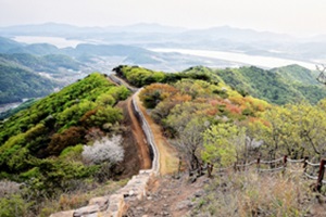 바다와 강이 만나는 자리, 김포,국내여행,음식정보