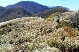 충절의 고장 장수,국내여행,음식정보