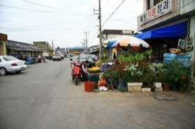 해평공설시장,재래시장,전통시장