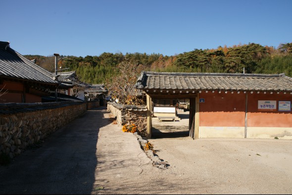 좁고 울퉁불퉁한 골목길이 인상적이다.