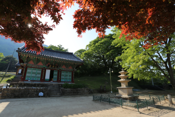 작지만 호젓한 멋이 있는&nbsp;영국사는 가을 단풍이 특히 아름답기로 유명하다.