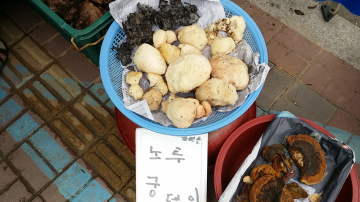 양평 물맑은시장에 나온 각종 상품들. 약재로 귀히 쓰이는 노루궁뎅이 버섯도 보인다.