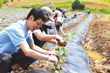 농촌체험마을을 찾은 사람들의 얼굴에서는 웃음이 떠나지 않는다.