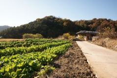 세종대왕자태실과 한개마을, 그리고 성산동 고분군의 모습. 성주 생명문화 축제는 이 세 곳을 테마로 삼고 있다.