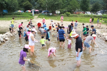 물 맑은 양평 메기수염축제에서는 커다란 메기를 맨손으로 잡아볼 수 있다는 사실!