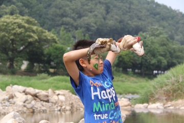 물 맑은 양평 메기수염축제에서는 커다란 메기를 맨손으로 잡아볼 수 있다는 사실!