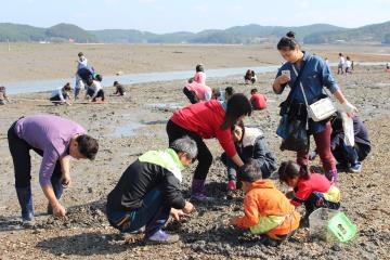 중리어촌체험마을은 지난해 해양수산부와 한국어촌어항협회가 선정한 어촌체험마을 '최우수상'에 선정됐다.
