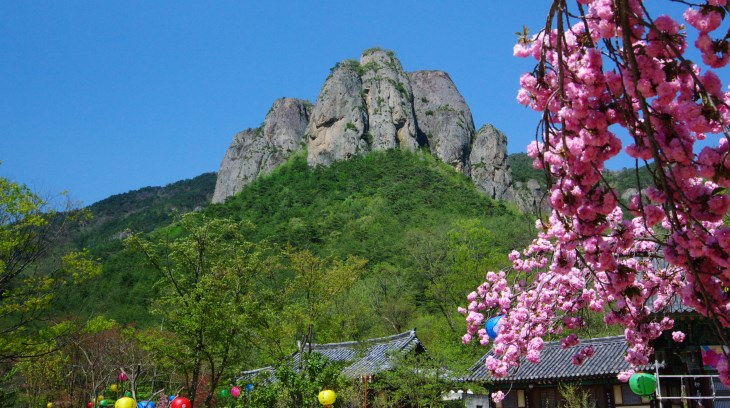 대전사에서 보이는 병풍바위의 모습. 산은 낮지만 아름다운 바위들이 주왕산을 더 커보이게 만든다.