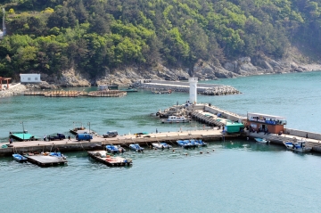 부산광역시 강서구의 대항마을에서는 전통 어획 방법인 '육소장망'을 체험해 볼 수 있다.