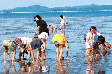 신시도에서는 낚시 체험과 갯벌 체험이 가장 활발히 이루어지고 있다. 사진은 갯벌 체험을 하는 체험객들.