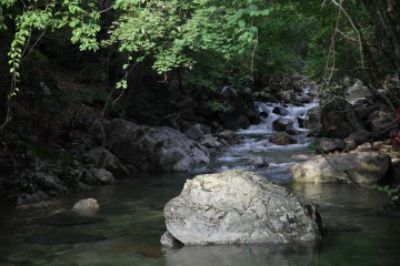 축제가 열리는 유명산자연휴양림은 산림청이 지정한 제1호 국립자연휴양림이다. 